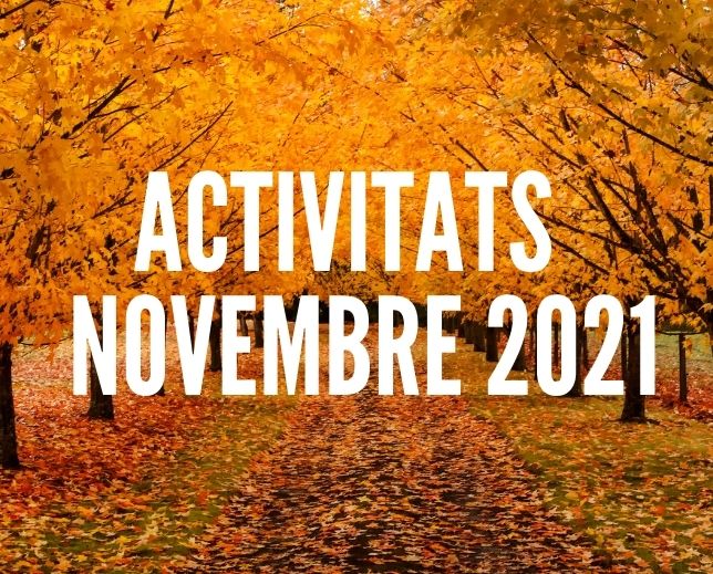 ACTIVITAS NOVEMBRE 2021 – ARTICLE