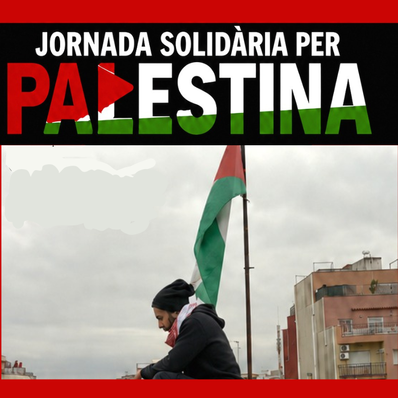 jornadapalestina
